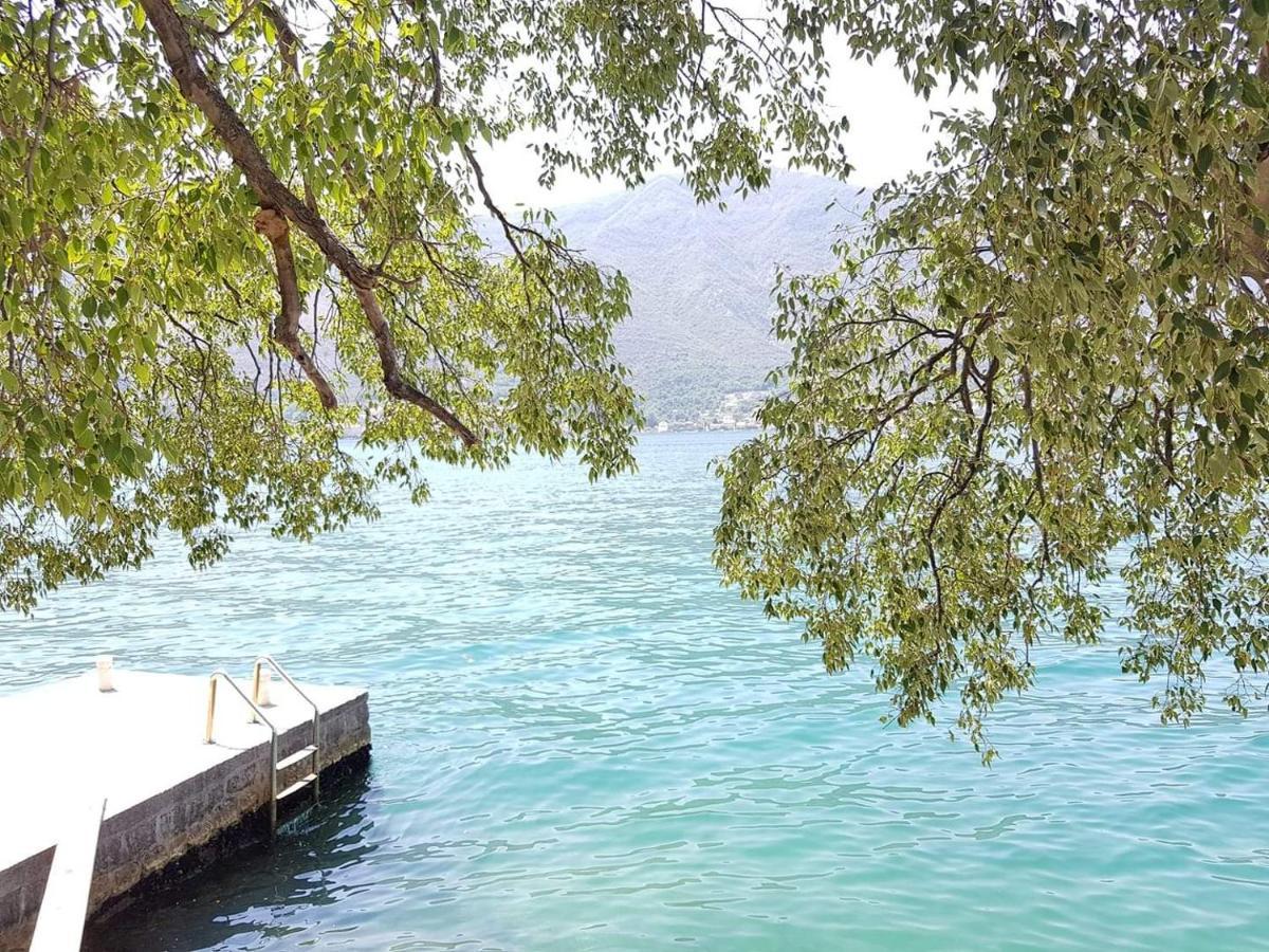 Montenegro Apartments - Private Beach Котор Екстер'єр фото