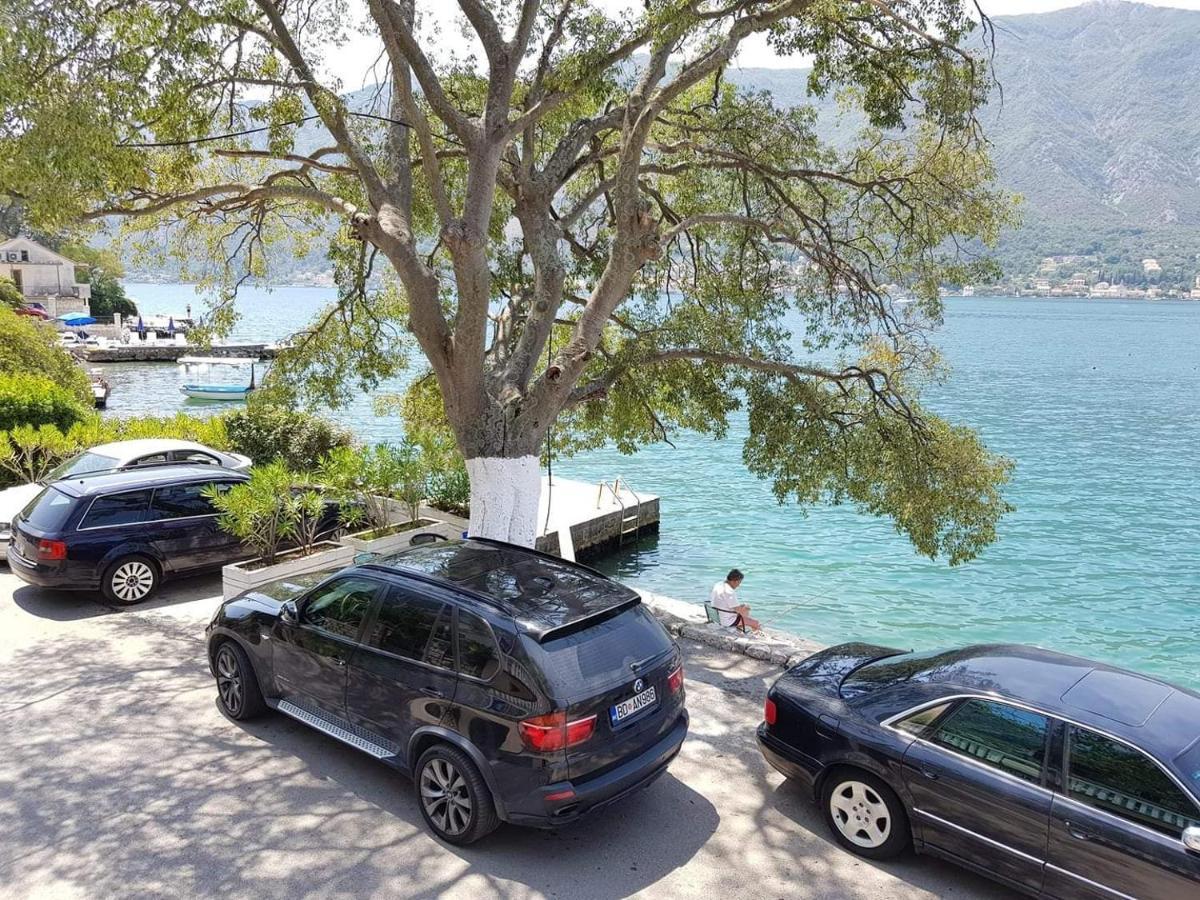 Montenegro Apartments - Private Beach Котор Екстер'єр фото
